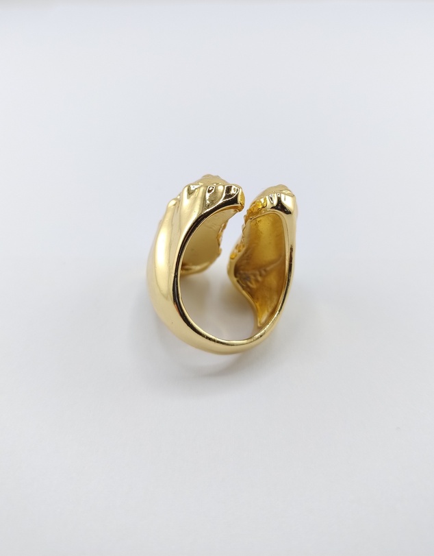 Miz Casa and Co - Cody Ring
