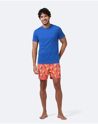 Tom & Teddy - Short Sleeve Rash Vest