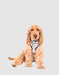 Mog & Bone - Neoprene Dog Harness - Grey Check Print