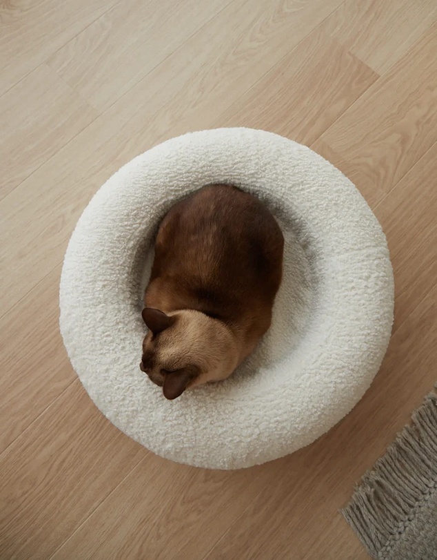 Cat St. - The Bungalow Bed