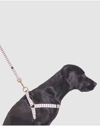 Mog & Bone - Hemp Dog Harness - Latte Mosaic Print