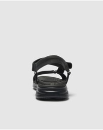 Active Flex - Native