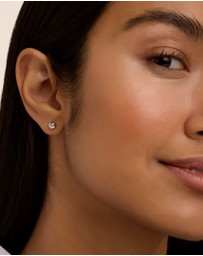 Ted Baker - Sinee Mini Crystal Stud Earrings