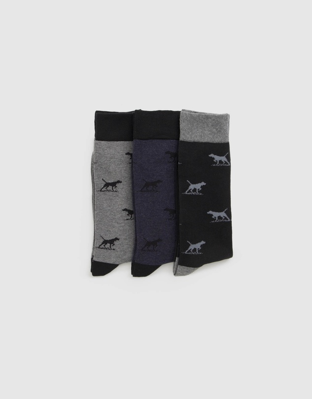 Rodd & Gunn - Dogs-A-Plenty Three Pack Socks