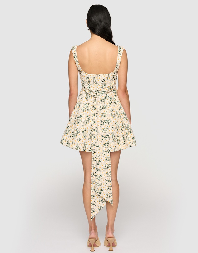 Clea - Rue Mini Dress