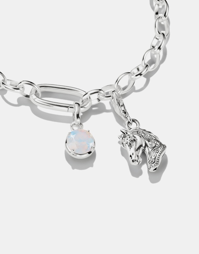 THOMAS SABO - THOMAS SABO Connect Charm Birthstone June