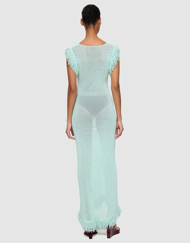 Paris Georgia - Fringe Dress