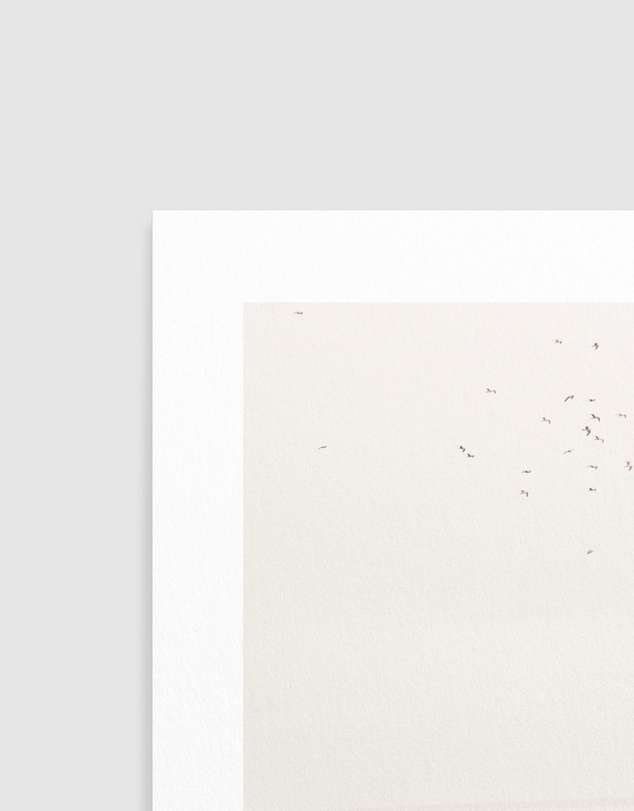 Olive et Oriel - Golden Dunes I Art Print