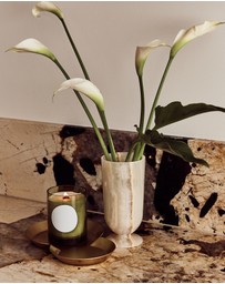 Black Blaze - Figure Tray