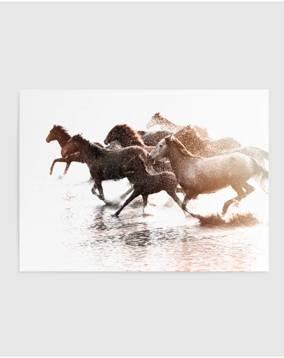 Olive et Oriel - Riviere Stallions Art Print