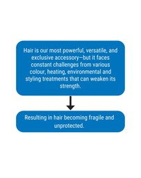 Silk Oil of Morocco - Silk Oil of Morocco - The Repair Protein Argan Collection (Everything You Need)
