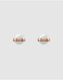Daniel Wellington - Aspiration Earrings