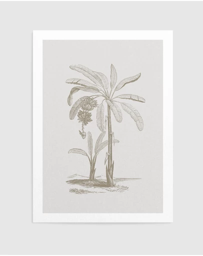 Olive et Oriel - Vintage Palm I Art Print
