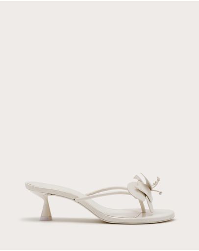 Antique White