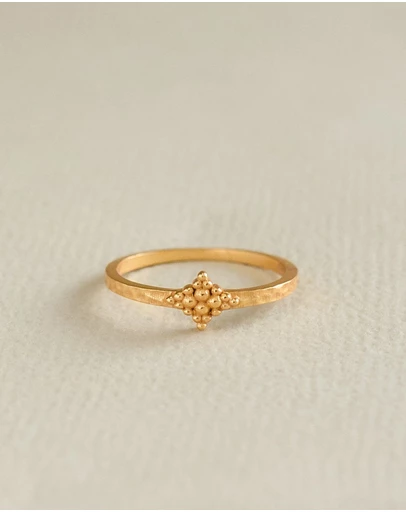 Meshca - Mezquita Ring