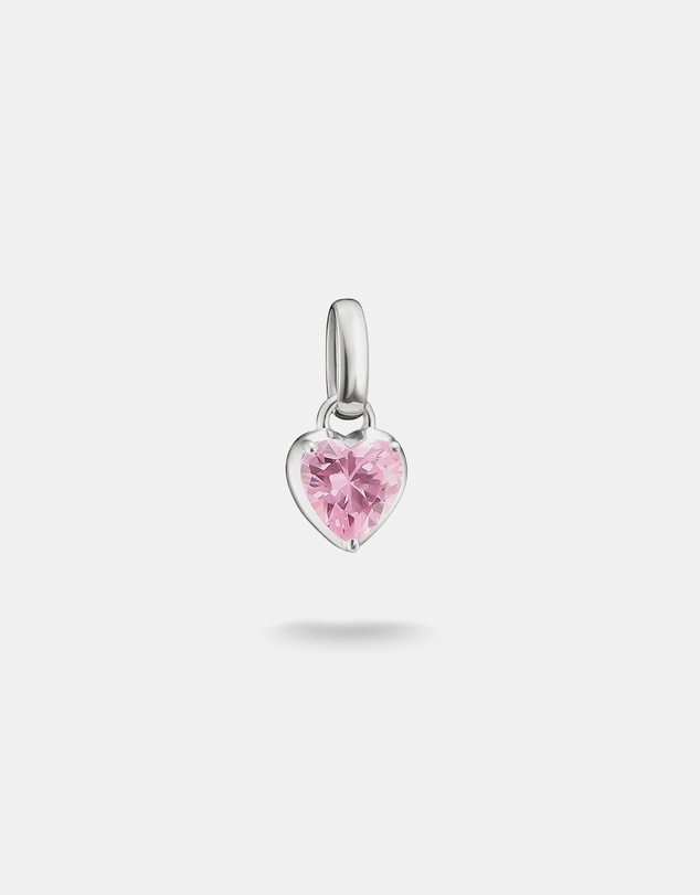THOMAS SABO - THOMAS SABO Connect Charm Heart Birthstone January