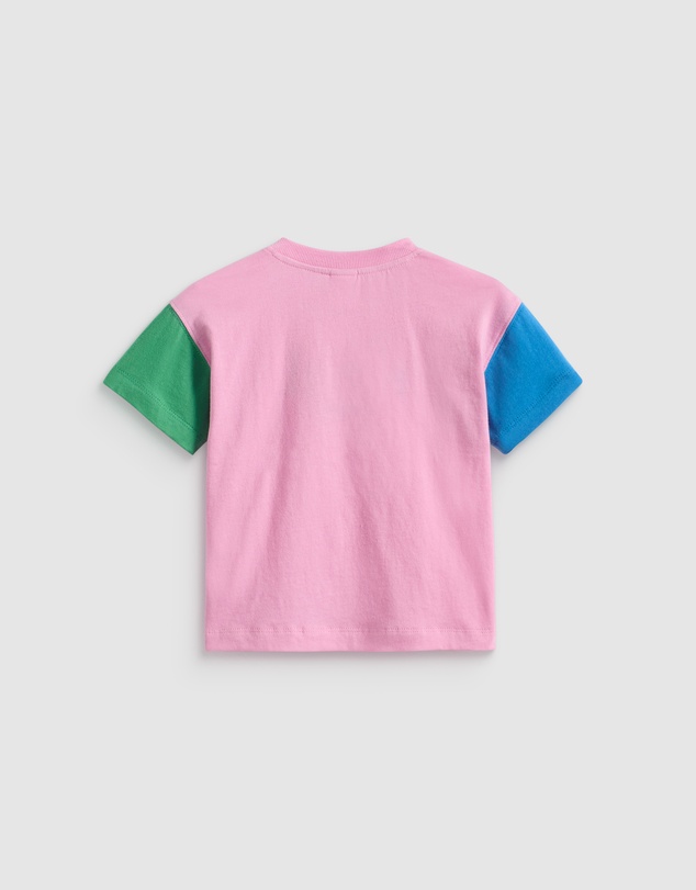 Seed Heritage - Colourblock Logo Tee