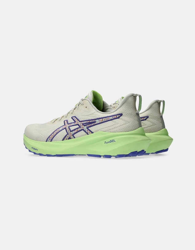 ASICS - GT-2000 13 TR (Nature Bathing) - Men's
