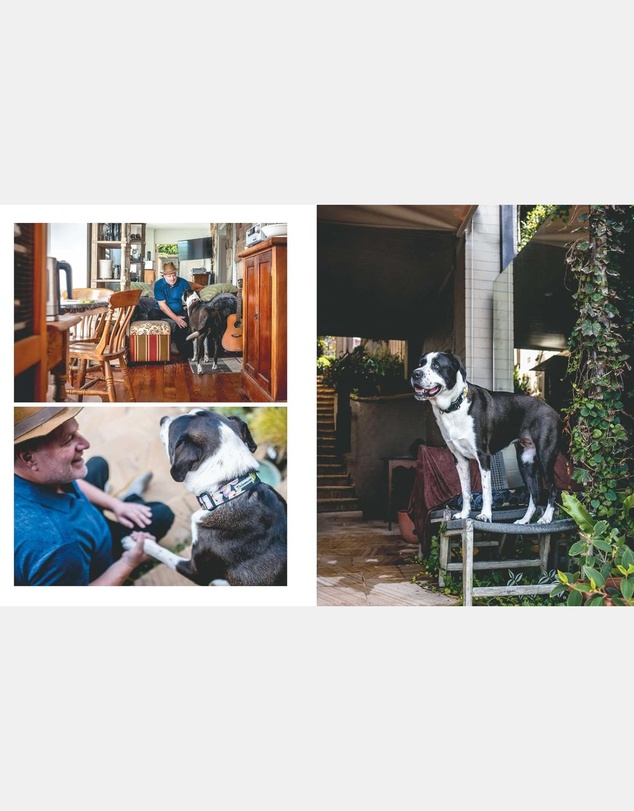 Brumby Sunstate - Rescue Dogs on Doorsteps