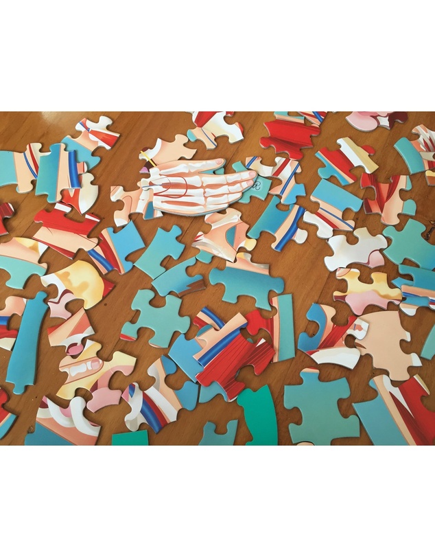 Sassi - Travel Learn Explore The Body Puzzle