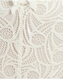 Sans Complexe - Ariane Classic Lace & Microfiber Brief