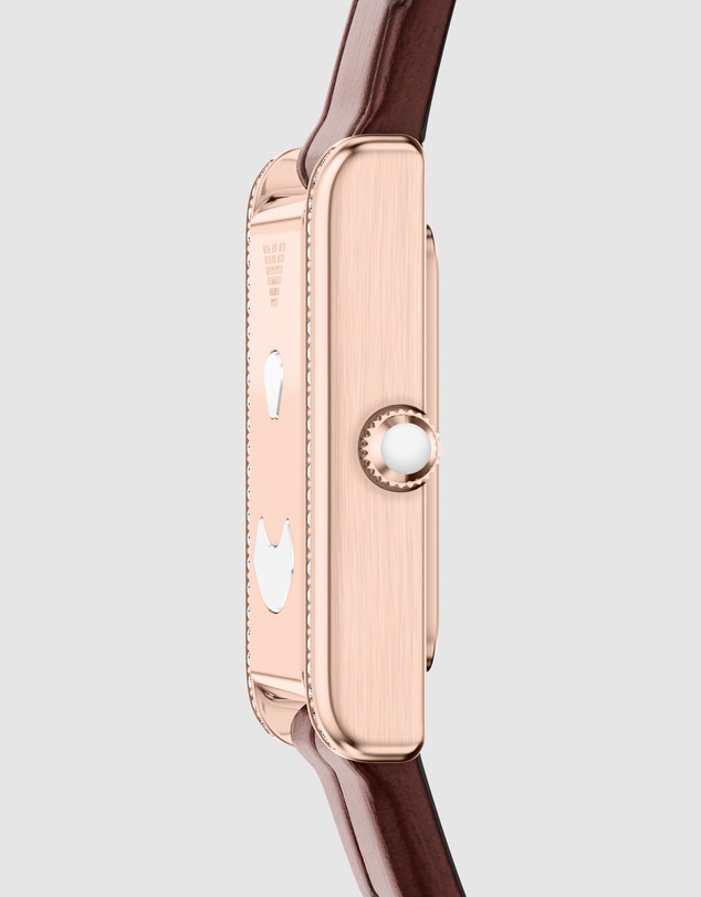 Emporio Armani - Brown Analogue Watch