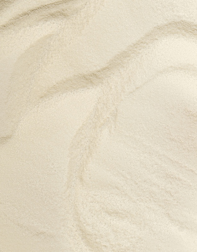 Inca Organics - Bioactive Collagen Peptides + Hyaluronic Acid + Vitamin C Wellness Powder (Unflavoured)