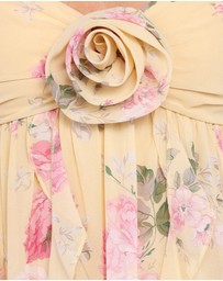 Petal & Pup - Tully Maxi Dress - Yellow Floral