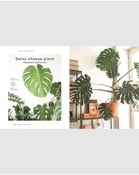 Brumby Sunstate - Indoor Jungle