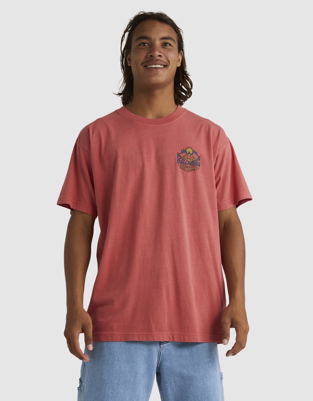 Billabong - Mens Homegrown T-Shirt