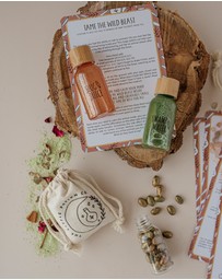 The Little Potion Co - Wild Adventure Mindful Potion Kit
