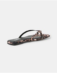 Mollini - Reille Thong