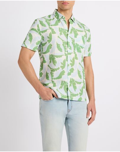 Green Multi