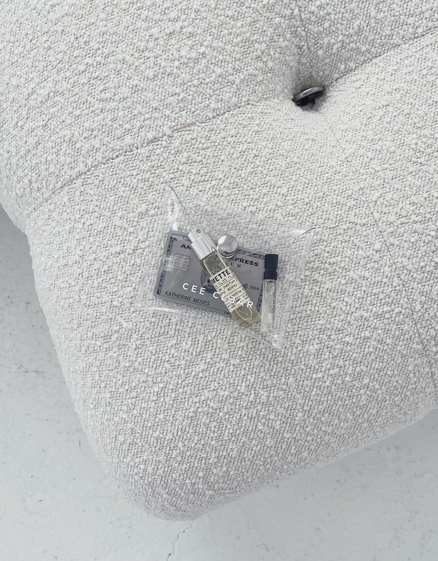 CEE CLEAR - Clear Mini Purse