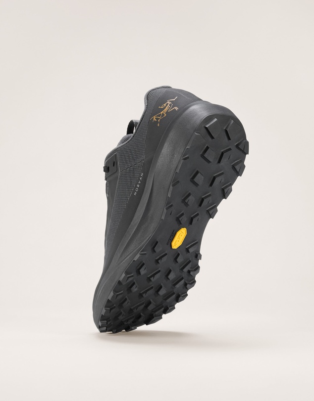 Arc'teryx - Norvan LD 4 GTX Shoe Men's
