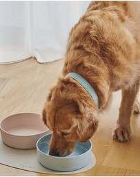 Lilly + Dash - Dog Food Water Ceramic Bowl