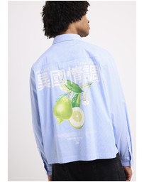 Arvust - Honolulu Cropped Long Sleeve Shirt