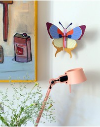 Studio Roof  - Wall Art Butterflies A4