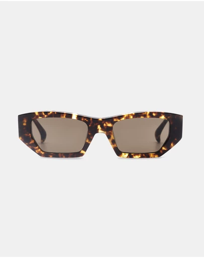 AM Eyewear - Lipcer