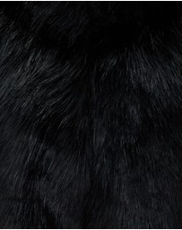 Unreal Fur - Nord Cape