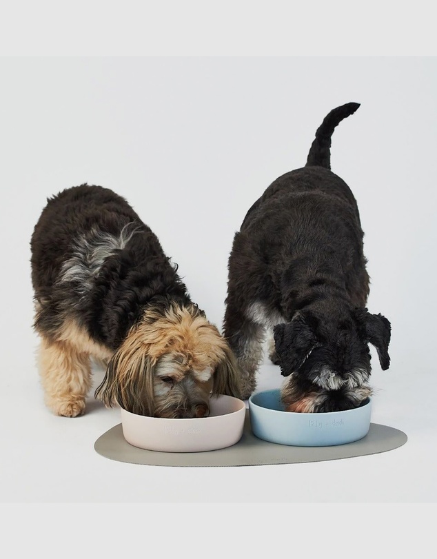 Lilly + Dash - Dog & Cat Asymmetric Placemats - Pebble Blue & Sand