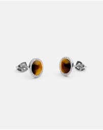 Daniel Wellington - Audrey Earrings Tiger Eye
