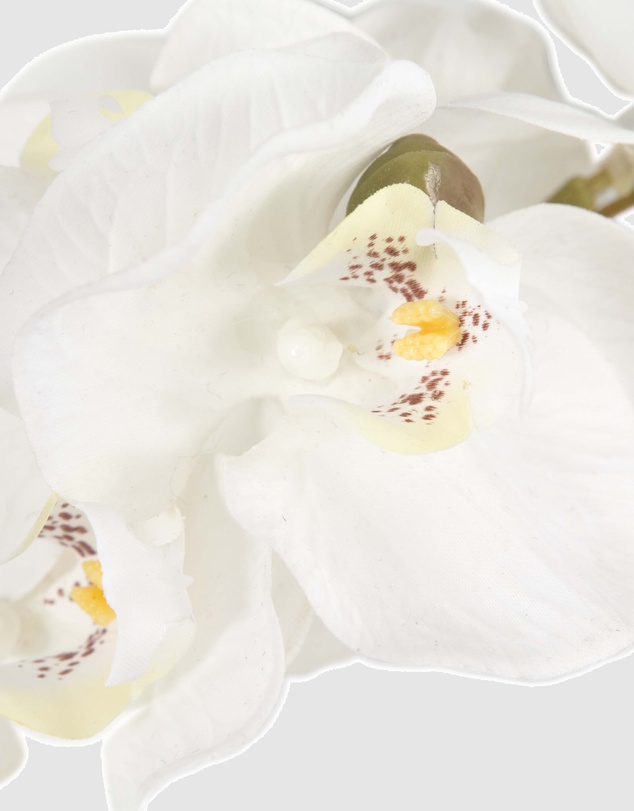 Max Alexander - White Orchid Racing Fascinator