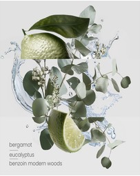 Kirri by Scent Australia Home - Coral Reed Diffuser Duo - Designer Range (Formerly Aqua Positano)