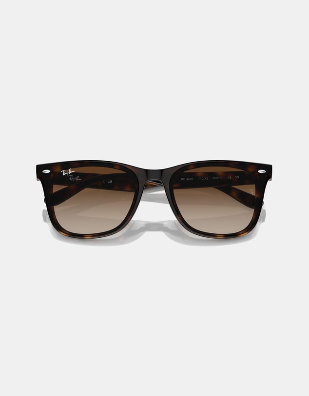 Ray-Ban - 0RB4420