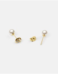 Daniel Wellington - Pearl Stud Earring