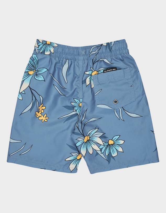 Quiksilver - Boys 2 to 7 Everyday 13