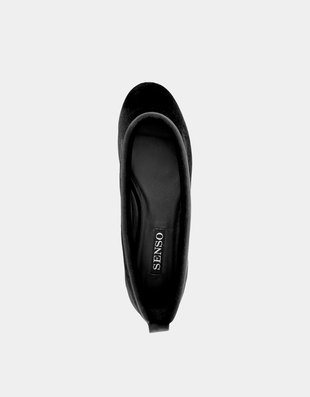 Senso - Delphine