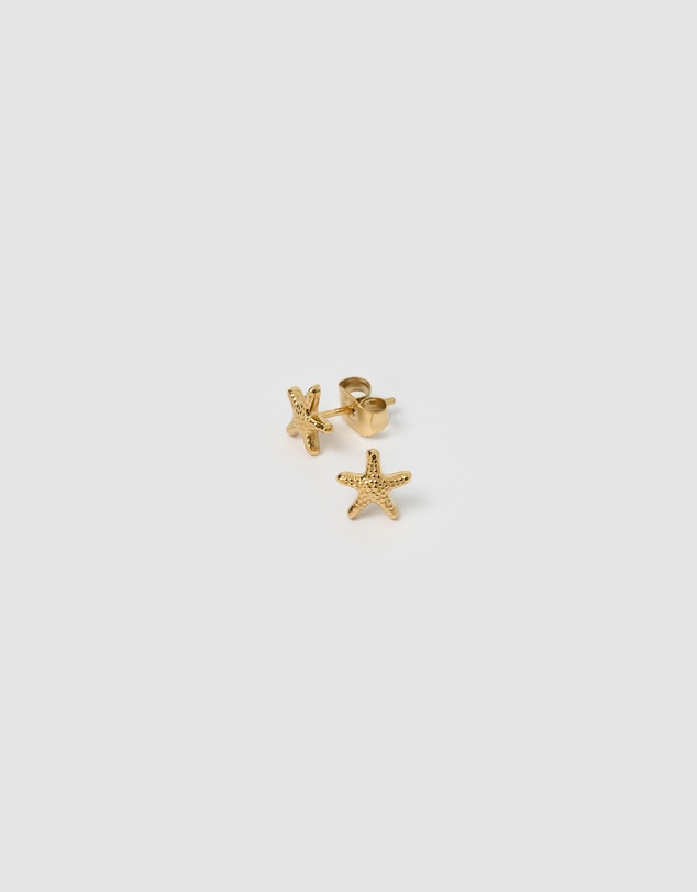 Arms Of Eve - Starfish Gold Studs
