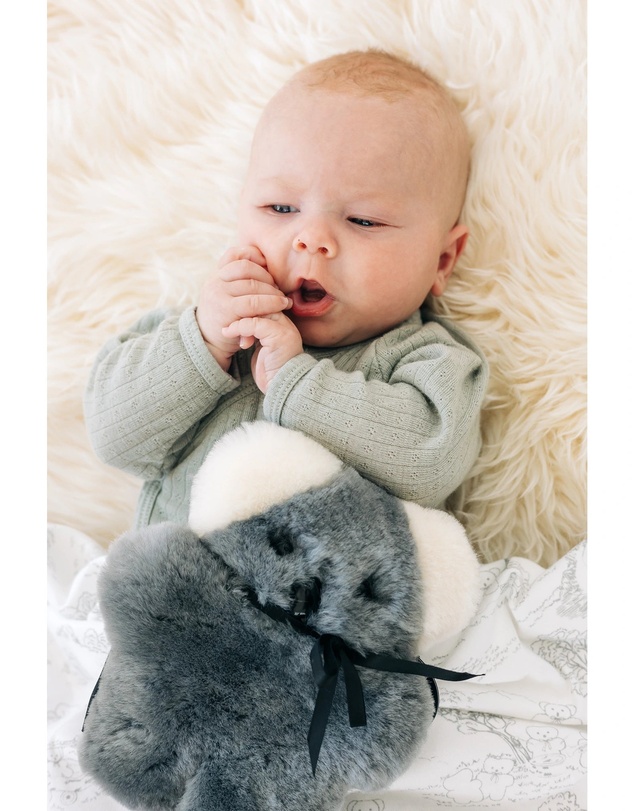 FLATOUTbear - Baby Koala